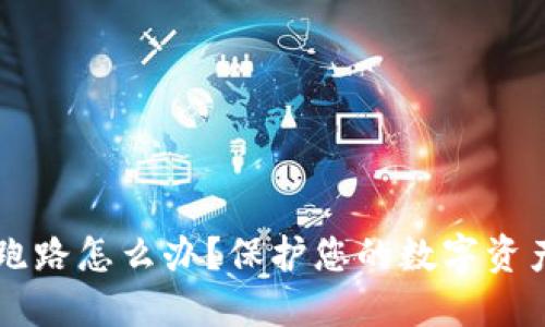 虚拟币钱包跑路怎么办？保护您的数字资产的全面指南