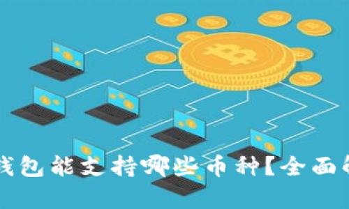 tpWallet底层钱包能支持哪些币种？全面解析与使用指南
