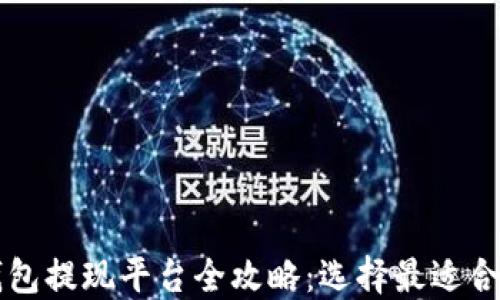 
区块链钱包提现平台全攻略：选择最适合你的钱包