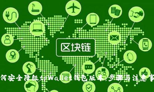 如何安全降级tpWallet钱包版本：步骤与注意事项