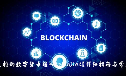 如何将不支持的数字货币转入tpWallet？详细指南与常见问题解答