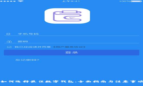 如何选择最佳数字钱包：全面指南与注意事项