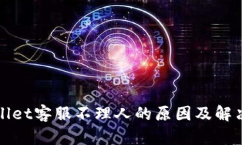 tpWallet客服不理人的原因及解决方案