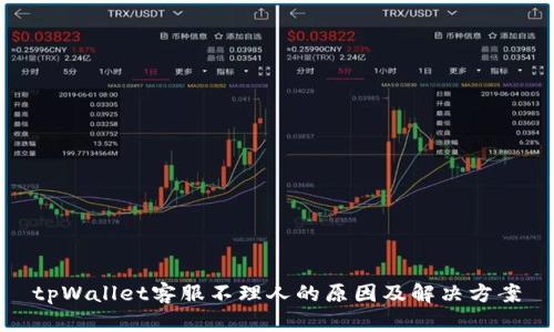 tpWallet客服不理人的原因及解决方案