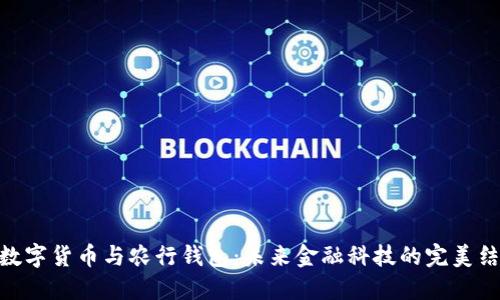 : 数字货币与农行钱包：未来金融科技的完美结合
