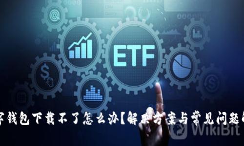 数字钱包下载不了怎么办？解决方案与常见问题解析