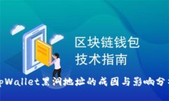 tpWallet黑洞地址的成因与影