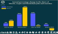 tpWallet出错了怎么办？全面