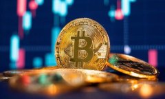 IM钱包官方下载与安全使用