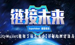 iaotitpWallet转错了该怎么办