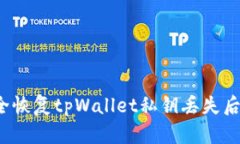 如何安全恢复tpWallet私钥丢