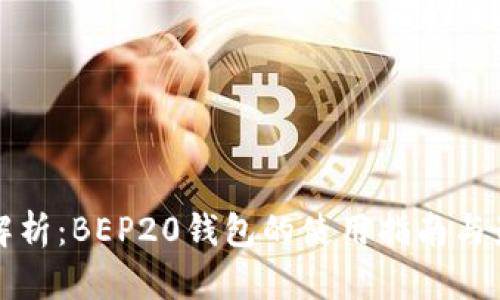 全方位解析：BEP20钱包的使用指南与最佳实践