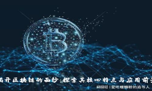 揭开区块链的面纱：探索其核心特点与应用前景