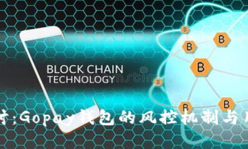 深入探讨：Gopay钱包的风控机制与用户保护