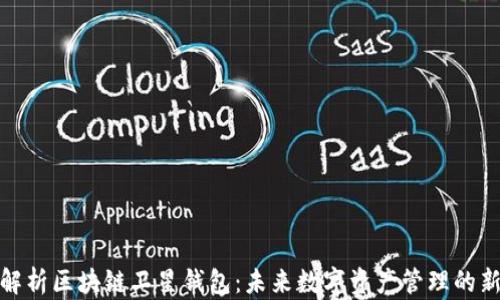 
全面解析区块链卫星钱包：未来数字资产管理的新选择