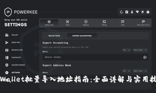 TPWallet批量导入地址指南：全面讲解与实用技巧