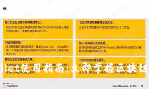 2023年tpWallet使用指南：立即掌握区块链资产管理技巧