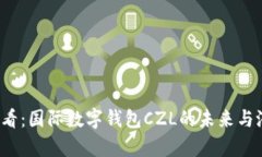 2025必看：国际数字钱包