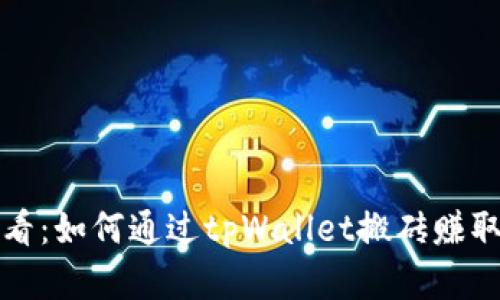 bianoti2025必看：如何通过tpWallet搬砖赚取收益，立即了解！