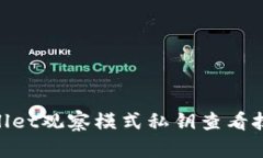 立即掌握tpWallet观察模式私