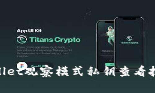 立即掌握tpWallet观察模式私钥查看技巧，2025必看！