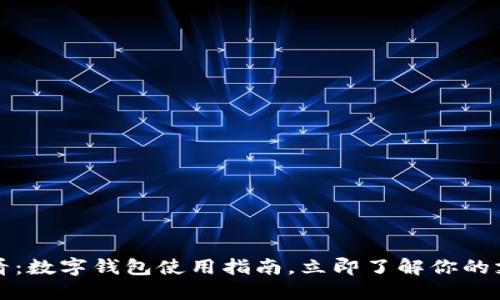 2025必看：数字钱包使用指南，立即了解你的支付选择！