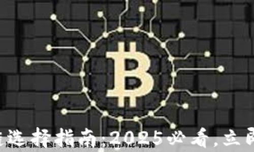 
tpWallet收款链选择指南：2025必看，立即掌握最优策略！