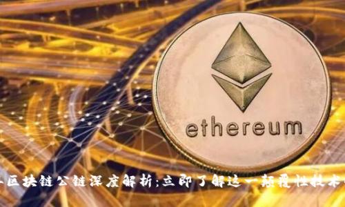 2023年区块链公链深度解析：立即了解这一颠覆性技术的未来！
