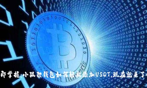 立即掌握：小狐狸钱包如何轻松添加USDT，现在就来了解！