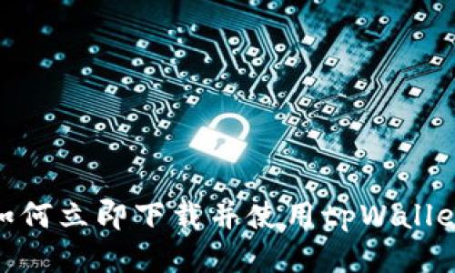 2025必看！如何立即下载并使用tpWallet的详细指南