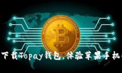 2025必看！立即下载Topay钱