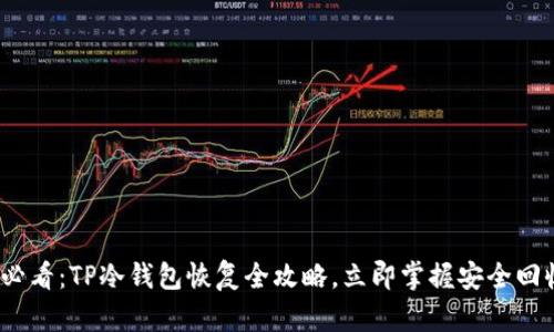 2025必看：TP冷钱包恢复全攻略，立即掌握安全回收技巧