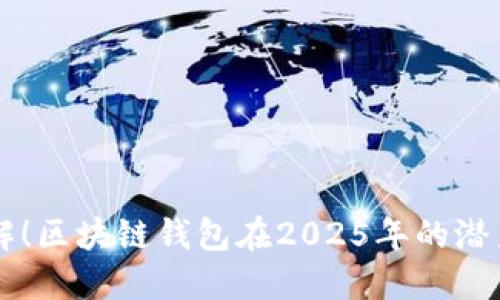 立即了解！区块链钱包在2025年的潜力与应用