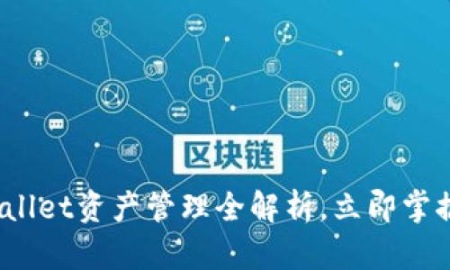 2025必看：tpWallet资产管理全解析，立即掌握你的数字财富！