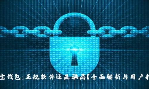购宝钱包：正规软件还是骗局？全面解析与用户指南