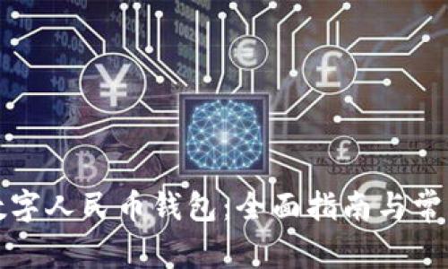 如何创造数字人民币钱包：全面指南与常见问题解答