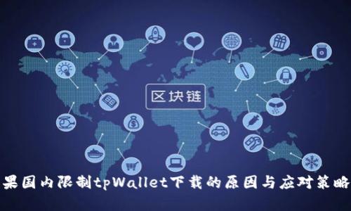 : 苹果国内限制tpWallet下载的原因与应对策略分析
