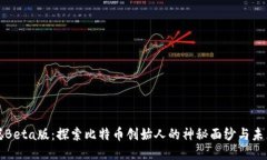 中本聪Beta版：探索比特币