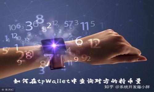 如何在tpWallet中查询对方的持币量
