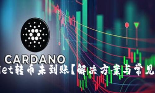 : tpWallet转币未到账？解决方案与常见问题解析