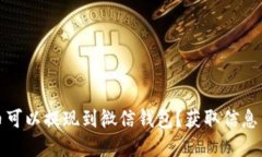 哪些虚拟币可以提现到微信钱包？获取信息与操