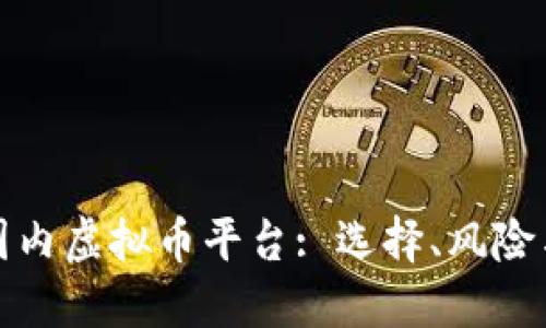 全面了解国内虚拟币平台: 选择、风险与未来趋势