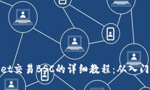 tpWallet交易BSC的详细教程：从入门到精通