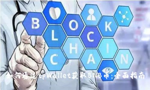 如何通过tpWallet获取BNB币：全面指南