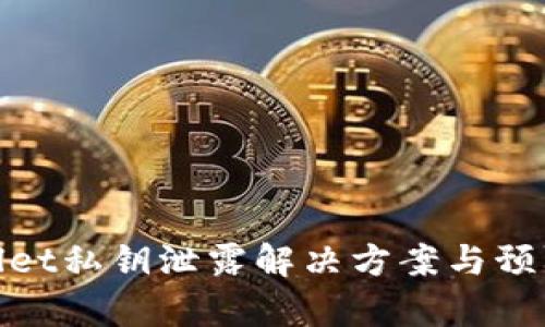 tpWallet私钥泄露解决方案与预防措施